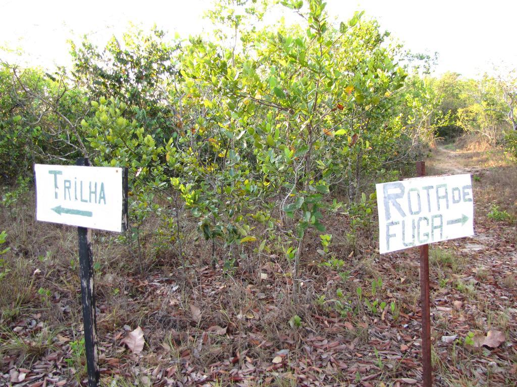 Hotel Fazenda Arara Azul カロリナ エクステリア 写真