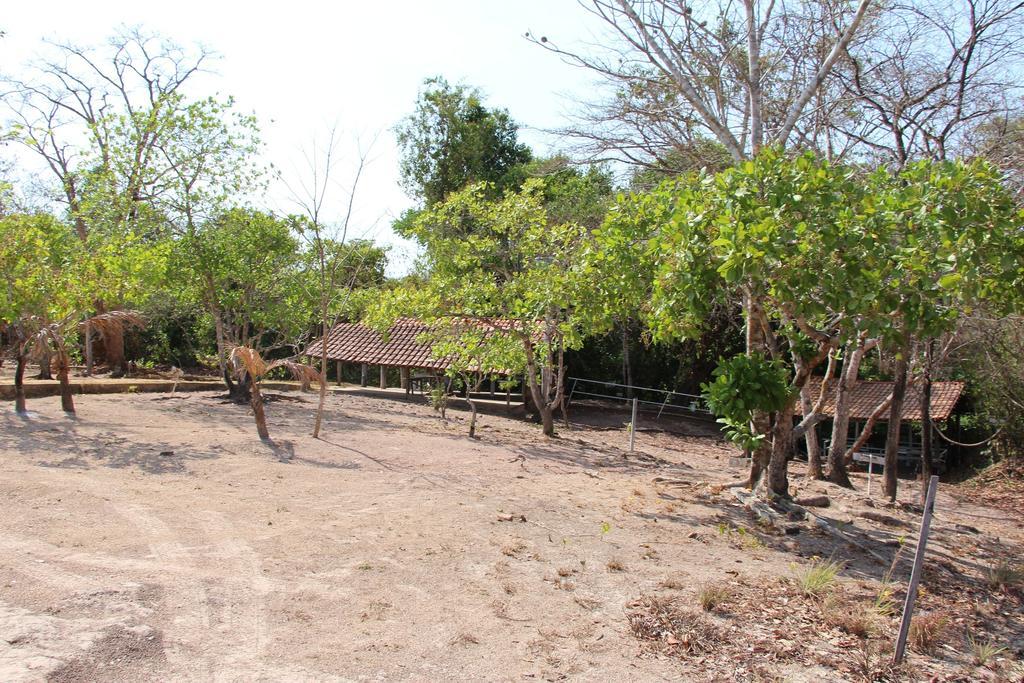 Hotel Fazenda Arara Azul カロリナ エクステリア 写真