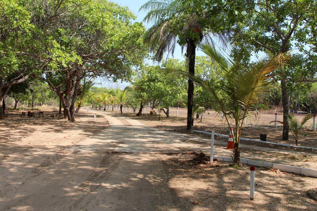 Hotel Fazenda Arara Azul カロリナ エクステリア 写真