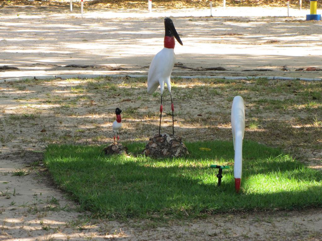 Hotel Fazenda Arara Azul カロリナ エクステリア 写真